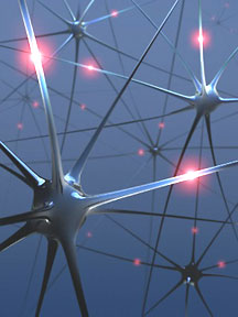 Neurons2